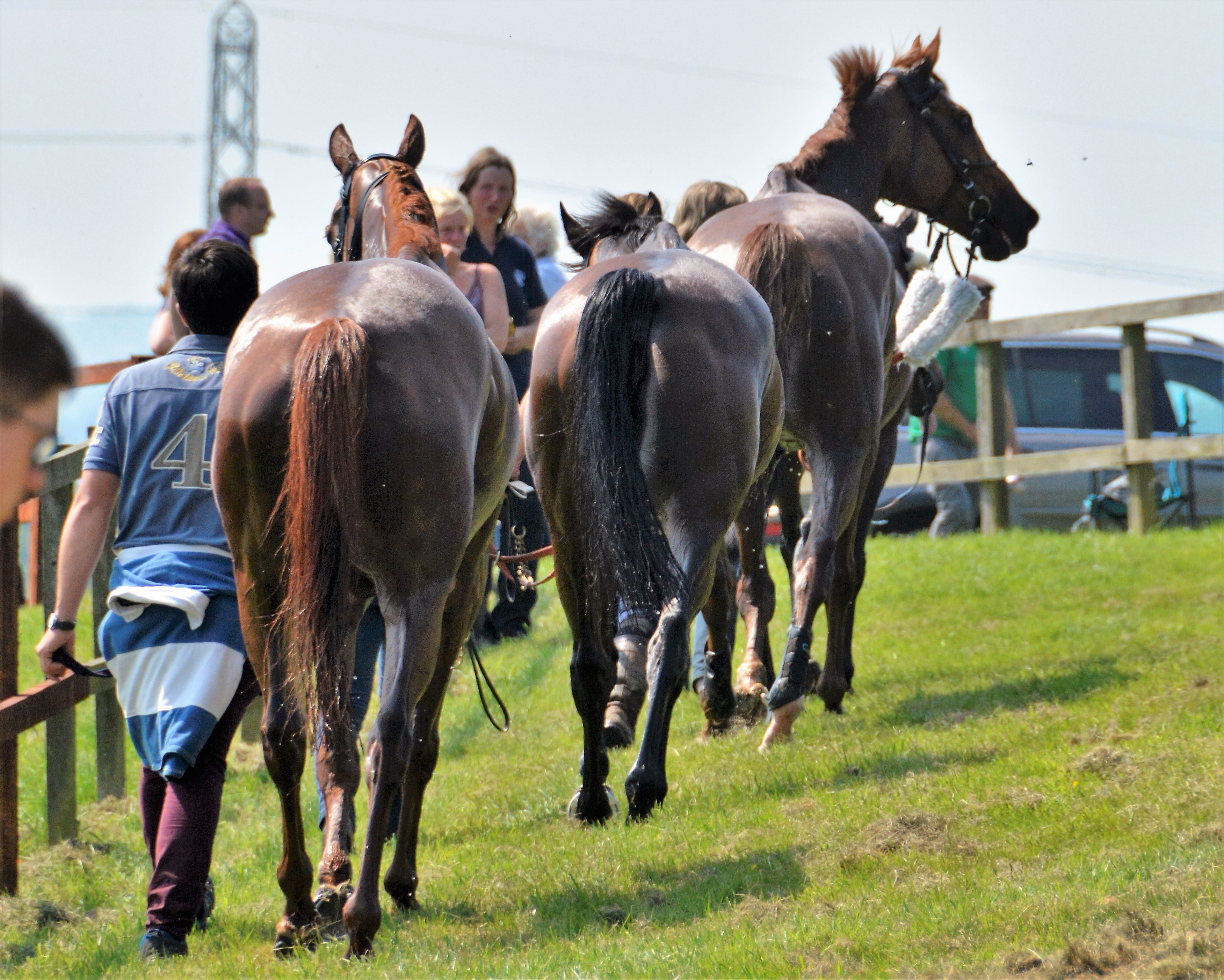 The Fitzwilliam Milton Point to Point at Dingley Racecourse 2018151